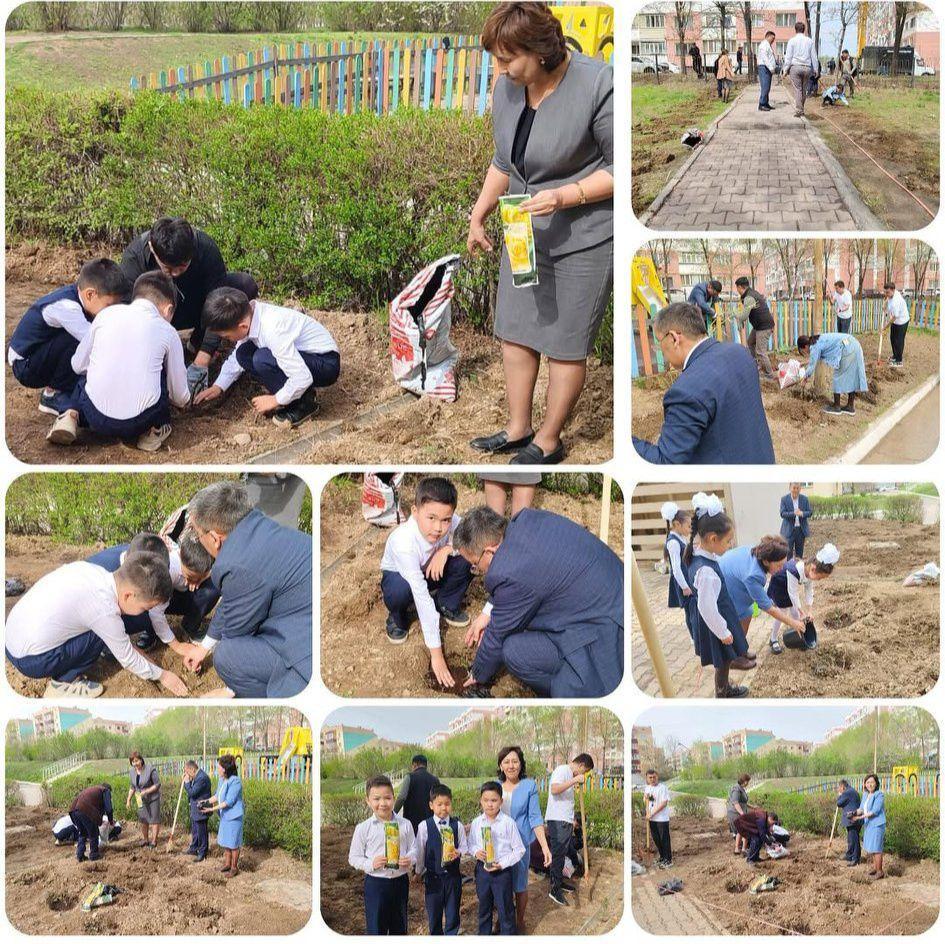 Бастауыш мектеп ауласына гүлзар егілді💐