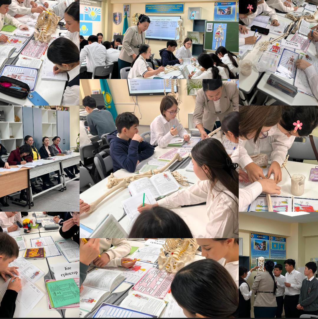 Биология пәнінен «Адам қаңқасының құрылысы» тақырыбында ашық сабақ